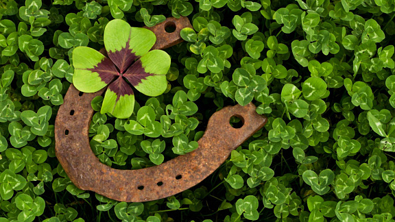 «Источник Удачи» - Вейд Владимир