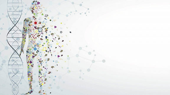 «Дизайн вашего Ребенка» - Макеев Олег