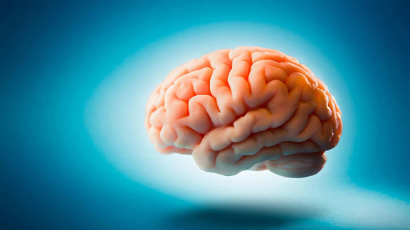 «Здоровый мозг» - запись тренинга Алексея Маматова