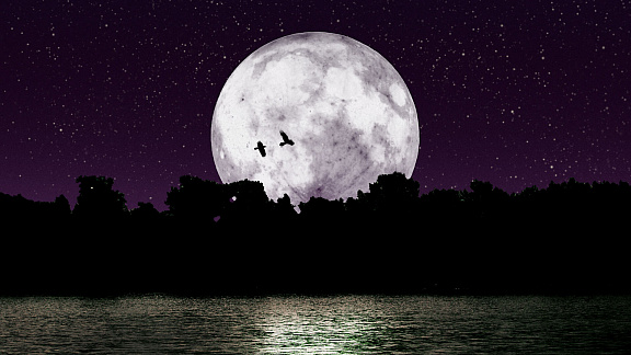 «Медитация с образом лунного света Хааракнит» - Беллар Сара