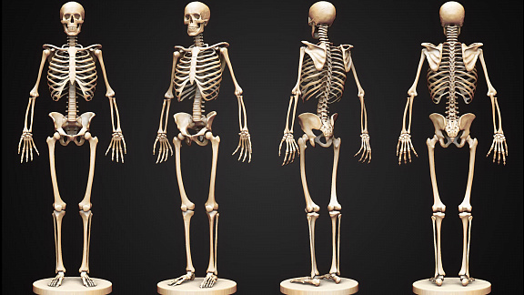 Психосоматика заболеваний опорно-двигательного аппарата - Часть 2