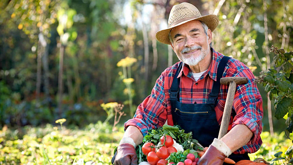 «Здоровый дачник» - Сергей Ли