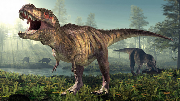 «От кого произошли динозавры?» - Толмачев Александр