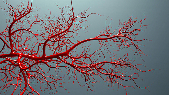 «3 секрета восстановления сосудов» - Шапаренко Елена