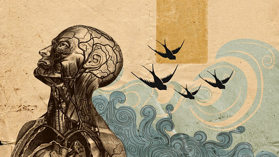 «Психоматрица» - Белова Светлана