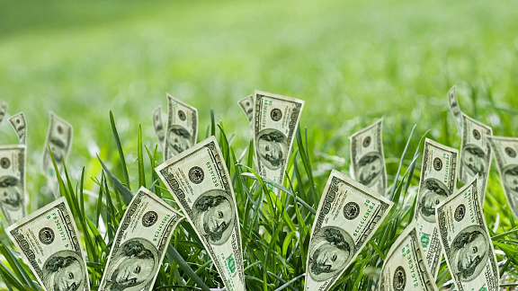 «Управление денежной энергией» - Сазонова Анна