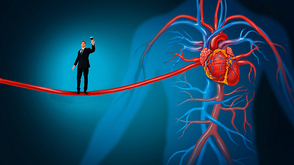 «Сердце и кровеносная система» - Миронов Егор