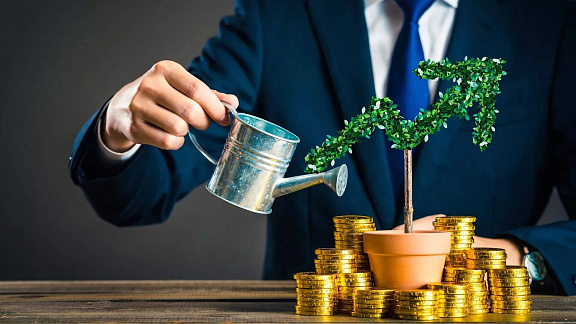 «Первые 7 шагов успешного инвестора» - Сергей Бриз