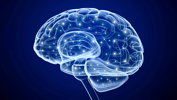 «Супермозг: как улучшить память и внимание у детей и взрослых» - Куляева Елена