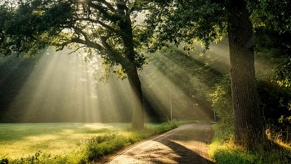 «Загадки света и цвета» - Толмачев Александр