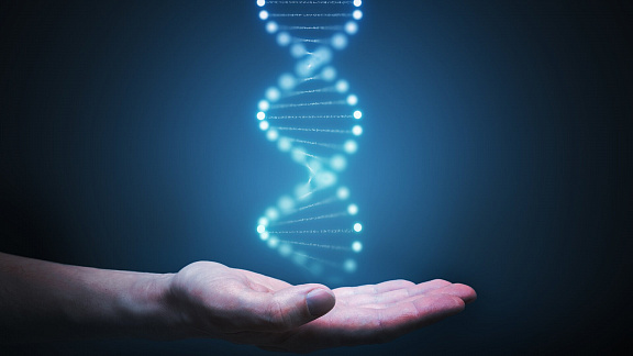 «ДНК Отношений» - Лузин Игорь