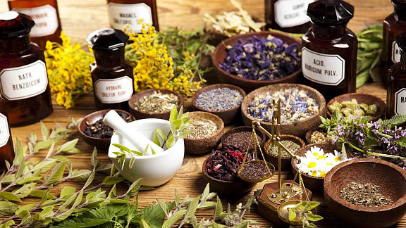 «Эко Человек: исцеление и процветание» - Сведовая Наташа