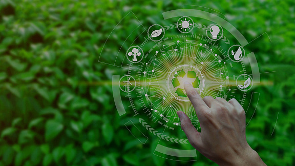 «Основы антипаразитарной и антигрибковой жизни» - Сведовая Наташа