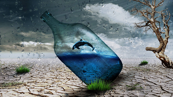 «Разблокируй Источник Жизни» - Вейд Владимир