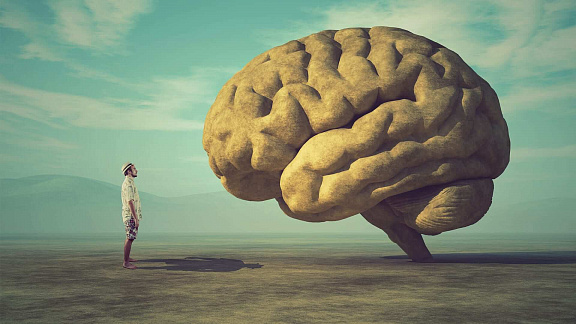 «Продление жизни Гиппокамп и нейроны Победителей» - Юджиния Квант