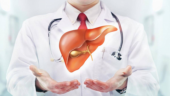 «Печень - как наладить и поддерживать ее здоровое функционирование?» - Сведовая Наташа