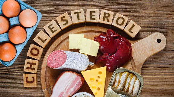 «Холестерин в крови» - Бахтина Елена