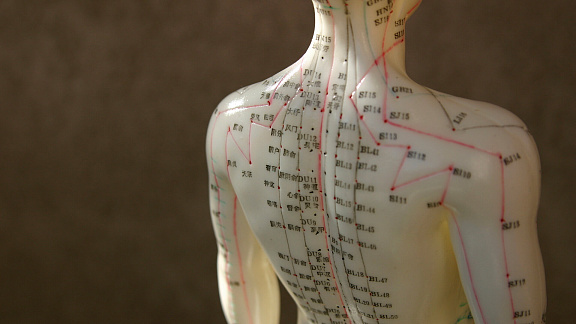 «Эволюция акупунктуры» - Квант Юджиния