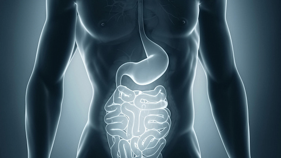 «Сеансы на желудочно-кишечный тракт» - Виктория Леа