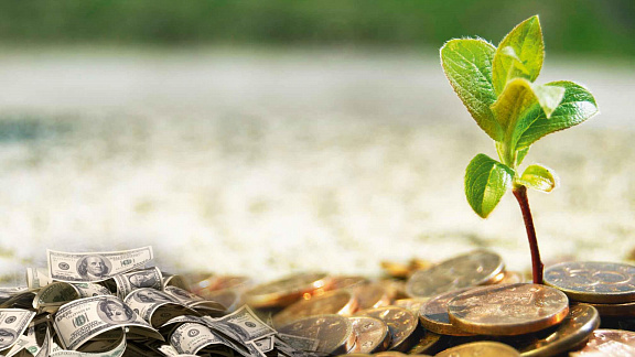 «Практика привлечения богатства» - Славенкова Дарья