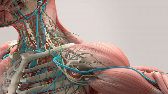 «Исцеление лимфы» - Юджиния Квант