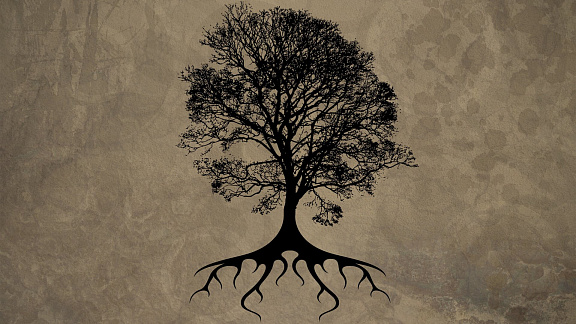 «Энергетическая Добавка: Исцеление Рода» - Федоров Михаил