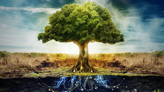 Золотой курс древа жизни