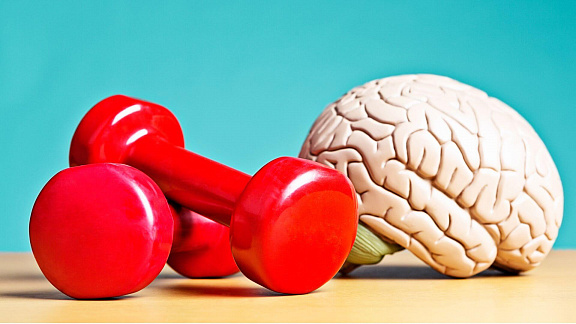 «Как поддерживать здоровье мозга» - Исаков Илья