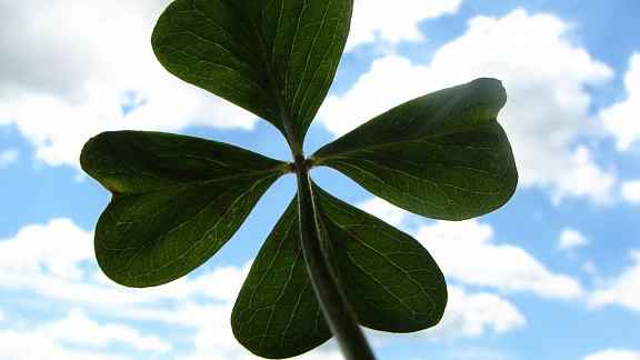 «Леди и Джентльмены Удачи» - Федоров Михаил