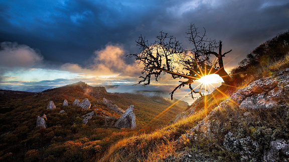 «Ваше личное Место Силы» - Беллар Сара