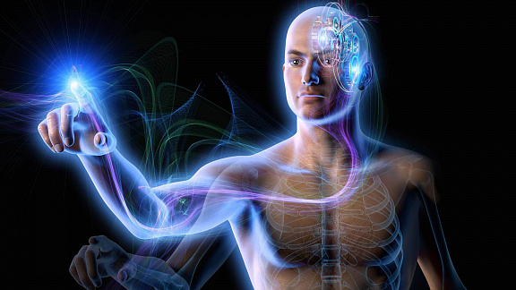 «Биоэнергетика» - Школа «Книга теней»