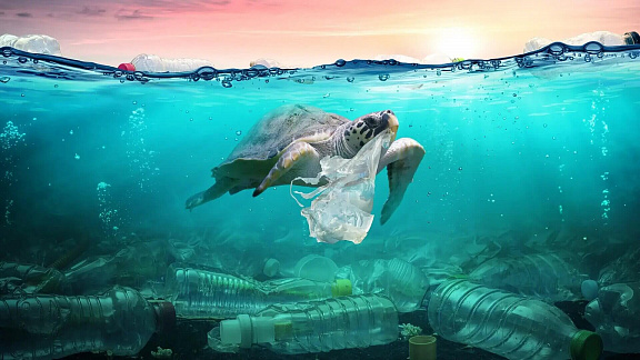 «Как спасти океан от мусора» - Толмачев Александр